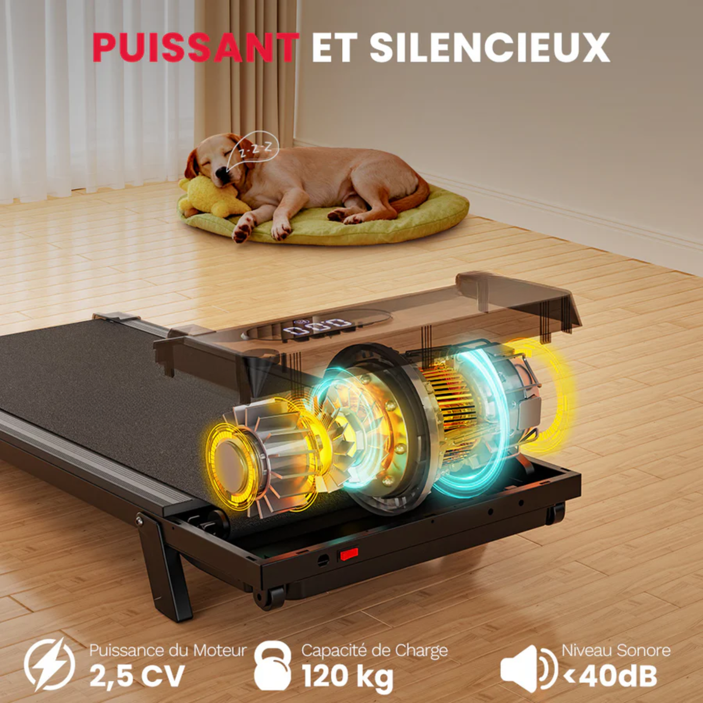 TAPIS DE MARCHE MCT-2 INCLINABLE