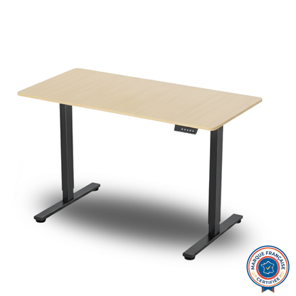 MCT-1 AJUSTABLE ELECTRIC DESK